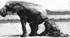 elefant1.jpg (18158 Byte)